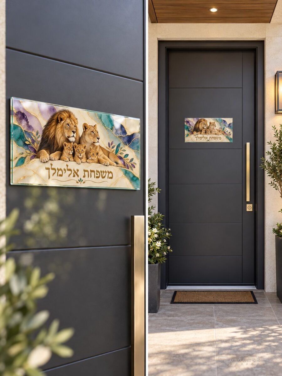 שלט זכוכית לדלת 22×10 | דגם 171